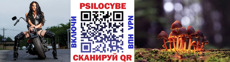 Галлюциногенные грибы MAGIC MUSHROOMS  мега зеркало  Заволжск 